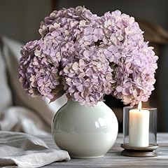 Pale Purple