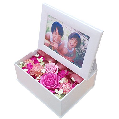 TEhAW FFB sN vU[uht[ ̓ ʐ^ tHgt[ v[g 