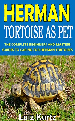 tortoise for beginners