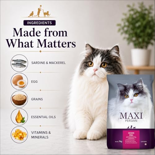 Image of Maxi Persian Adult Dry Cat Food 2.4kg (1.2kg + 1.2kg) | Ocean Fish Flavour | Suitable for All Life Stages | Supports Healthy Coat & Skin | Enriched with Essential Nutrients