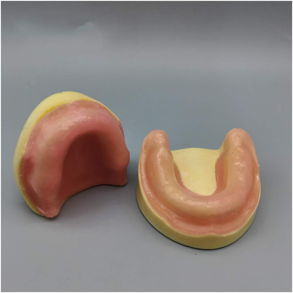 Modèle De Pratique De L'implant Dentaire - sans Gencives Modèle D'implant Oral Dentaire - Gommes en Silicone Douce pour Mâchoires Édentées - Pratique pour Les Étudiants