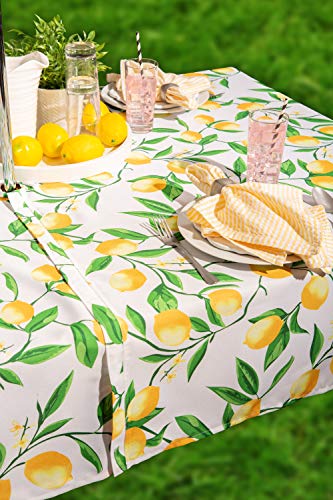 Mesa para Exteriores sin Manchas con Mantel de Cremallera DII 6