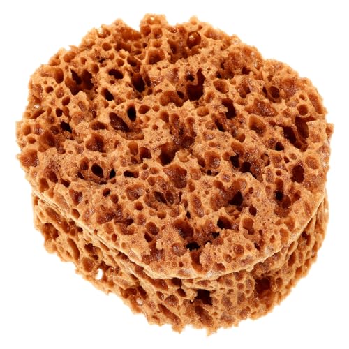 UPKOCH Large Sea Sponges for Artists, Unbleached Texture Sponge Texture Patch Sponge Large Art Sponges Watercolor for Home Wall Painting Decorating