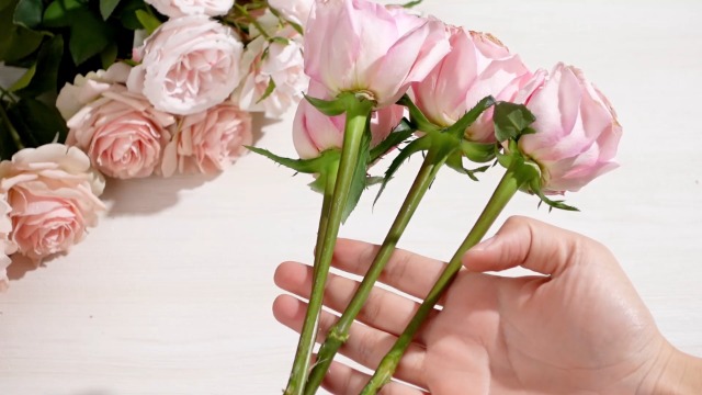 Set de 9 Piezas Removedor de Espinas Lasnten Rosa miniatura 7