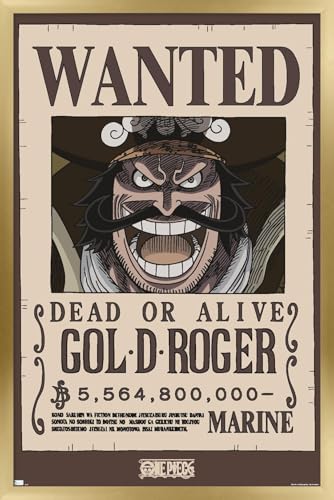 Poster One Piece Gol D Roger encadré or deco murale chambre manga 56x86cm