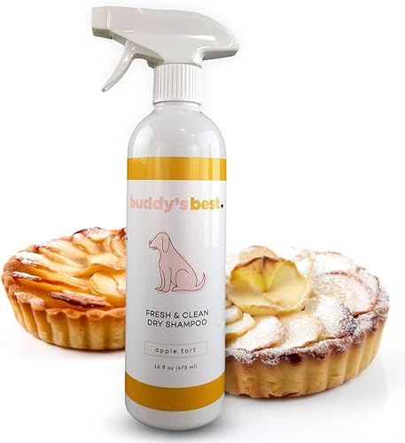 Buddy's Best Fresh & Clean - ChampĂş seco para perros, botella de 16 onzas lĂquidas sin agua, champĂş para perros y cachorros (tarta de manzana) Buddy's Best Fresh & Clean - ChampĂş seco para perros, botella de 16 onzas lĂquidas sin agua, champĂş para perros y cachorros (tarta de manzana)