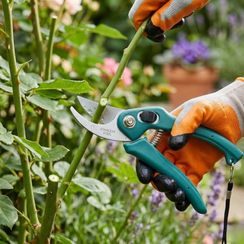 Image of 5 Piece Gardening Tool Set |Wooden Handle Hand Cultivator, Trowel, Garden Fork, Pruner with Flower Cutter and Gloves