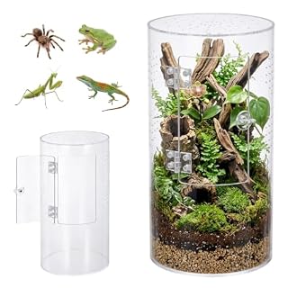 TranRantic terrarium acrylique vertical 15 x 15 x 30 cm