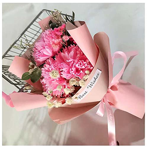 ԑ ̓ \[vt[ J[l[Vu[Pԃ\[vt[ԑ  u[P ͂Ȃ Ό J[l[V Mtg w  hV̓  LO JXj  蕨  v[g sN