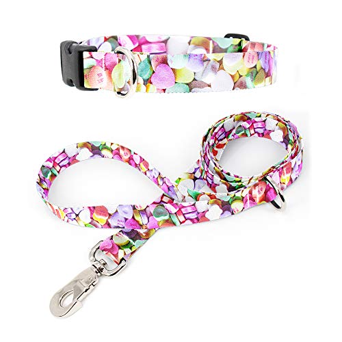 Tolt Supply Conversation Hearts Dog Collar & Leash Set - Military Grade Rustproof Buckle, Extra Heavy Duty Quick Clasp - Made in The USA