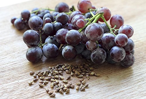 Creative Farmer Fruit Seeds Grape Fruit Fruit Plant Seeds For Garden Balcony Kitchen Garden Fruit Seeds Pack (B075PX1KTM) Amazon Price History, Amazon Price Tracker
