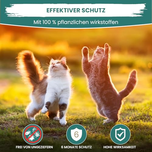 MC-Royal® Spot On Natürlicher Zeckenschutz für Katzen [6 Monate effektiver Schutz vor Zecken] Zeckenmittel für Katzen - Repellent gegen Zecken, Sofortschutz