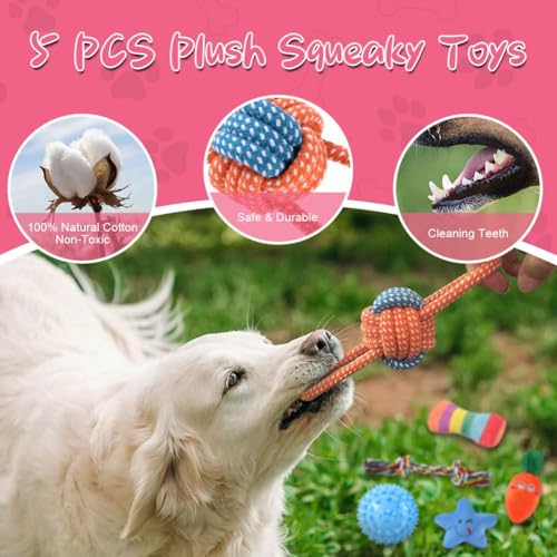 AMFUN 9 Stück Hundespielzeug Set, Hundespielzeu Kleine Hunde, Plüsch Hundespielzeg Mit Quietscher, Quietschend Kauspielzeug für Kleine Mittlere Hunde, Plüschspielzeug