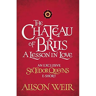 The Chateau of Briis
