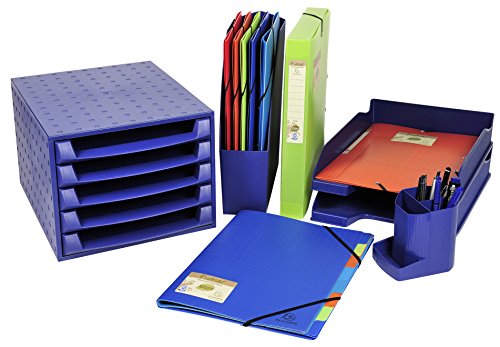 Exacompta 553573E Premium Sammelbox Forever 40mm mit Gummizug aus Recycling-Kunststoff mit Rückenschild für DIN A4 Archivbox Heftbox Dokumentenbox Zeichenbox Sammelmappe grün