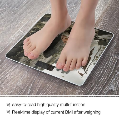 Báscula digital de baño Three Gnomes con vidrio templado y pantalla LCD miniatura 5
