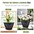 Nooulap 4 Pack 10 Inch Flower Pots for Outdoor Indoor, Plastic Plant Pots with Drainage Hole & Saucer, Lightweight Small Resin Flower Pot, Outdoor Planters Imitation Magnolia for Garden House?Gray?