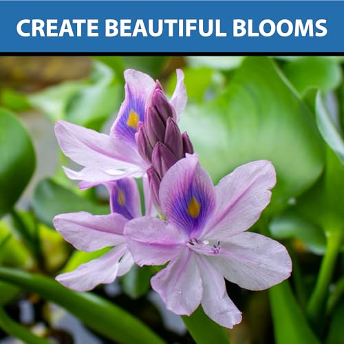 CrystalClear Thrive Aquatic Pond Plant Food, Fish Safe Water Garden Fertilizer, Nutrients Boost Lily & Lotus Flower Bloom & Root Growth, 60 Tablets - Thumbnail 6
