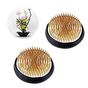 Steelfever 2 Stücke Blumenigel 6x6cm Halterung