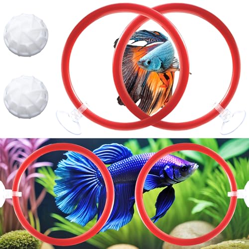 Betta Fish Toys - g[jOO4&oCItB^[{[2Ax[^GNTTCY[vgCƒ{[ZbgAx^tBbV^NANZT[tB[fBOO^^NpEH[^[RfBVi[