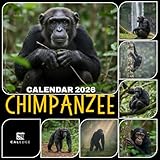 chimpanzee bars vegan  Chimpanzee Calendar 2026: Monthly Jungle Life, Celebrate Every Month with Intelligent Apes and Forest Landscapes