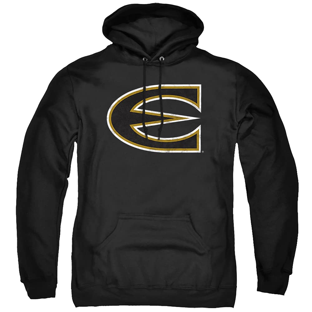 LOGOVISION Official Collegiate Distressed Primary Logo Adult Pullover Hoodie Collection — view 401