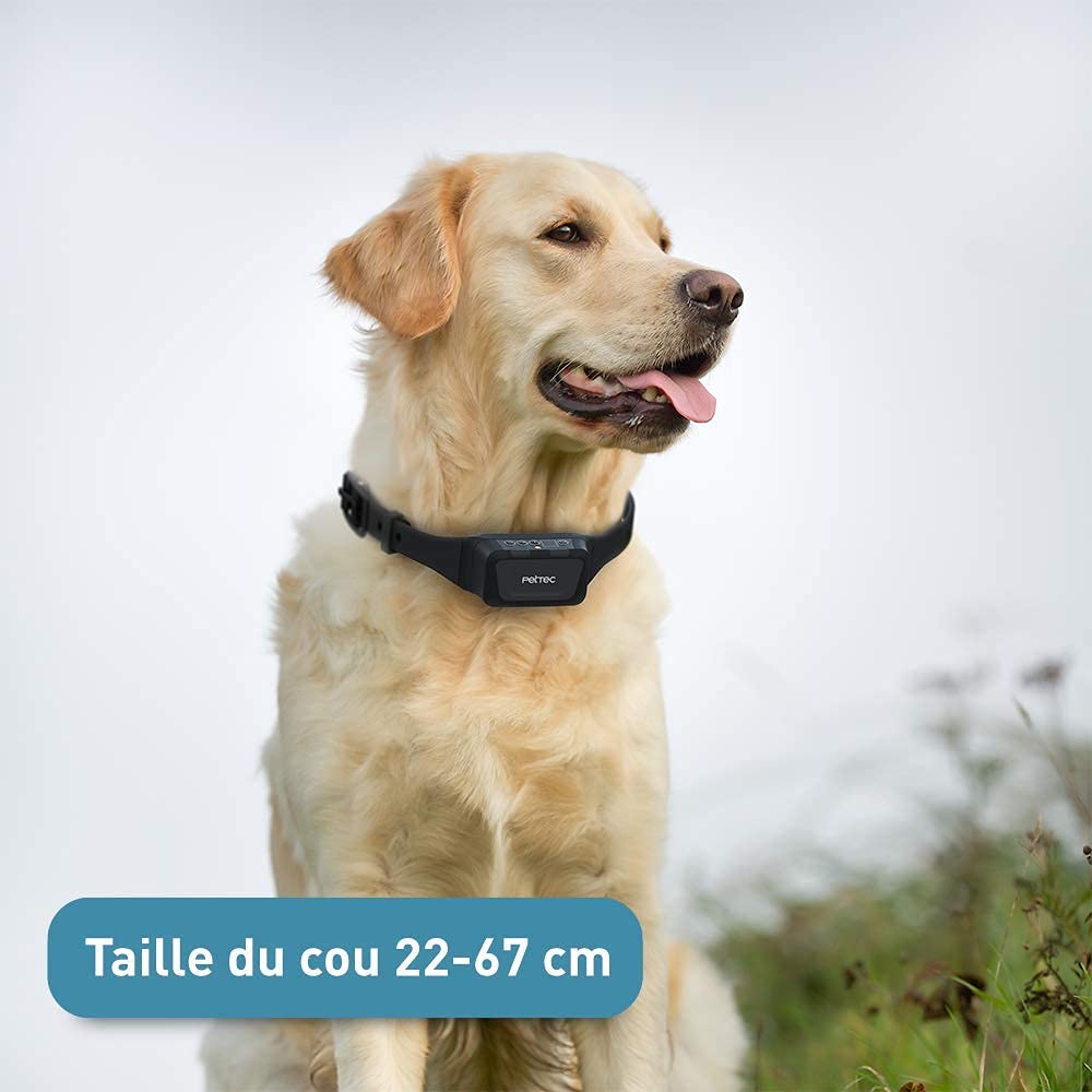 PetTec Collier à Spray avec Télécommande, Jusqu’à 600m, PetTec Collier Anti Aboiements Premium pour Chien avec Spray (Citronelle, Collier Anti Aboiements avec Spray)