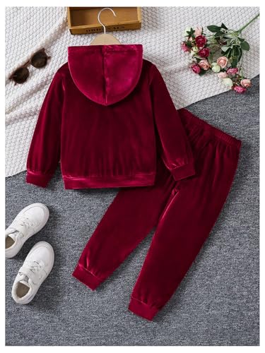 Image of Floerns Toddler Girl's Two Piece Sweatsuit Sequin Letter Print Hoodie Sweatshirt with Jogger Set