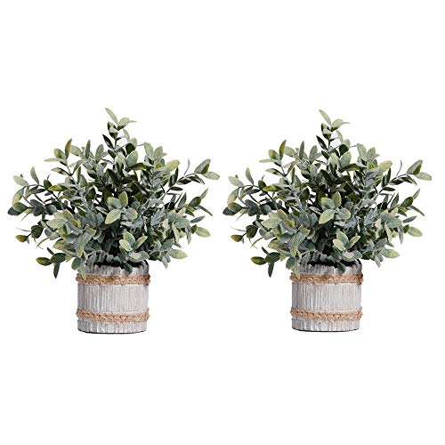 HC STAR 2 Pcs Artificial Plants Small Potted Plastic Fake Plants Green Rosemary Faux Greenery Topiary Shrubs Plant for Home Decor Office Desk Bathroom Farmhouse Tabletop Indoor House Decorations