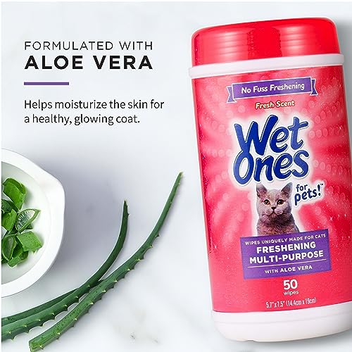 Image of Wet Ones Mixed 13 Piece Bundle of Human & Cat Wet Wipes, Fresh Scent | 10 Packs Antibacterial Hand and Face Wipes, 20ct Plus 3 Packs for Pets Multipurpose Cat Wipes, 50ct