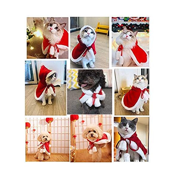 Zhenpony christmas cat dog costume pet cape, cat cloak with xmas hat, soft and thick red velvet apparel for cats and puppy, funny christmas pet dress up - image 7