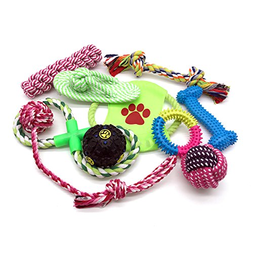 Sishi Pet Dog Toys 10 Pack Gift Set, Variety Puppy Toys for Small to Medium Dogs Chewing