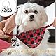 BOBOZHONG Katzenglocke,4 Set Haustier Glocken Haustier Tracker Glocke Hundeglocke Laute Hundeglocken Katzen Glocken Halsband Glöckchen für Hund Katze Geschirr Silber