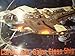 Star Trek Deep Space Nine Cardassian Galor Class Ship Model Kit