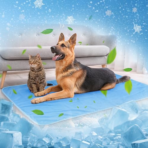 Pawsee wasserdichte Kühldecke Hunde Katze, Waschbar Hundedecke Kühlend, wasserdichte Hunde Kühlmatte für Sofa Bett Outdoor, Verwendbarer Überwurf Couchbezug Möbelschutz, 75 x 50 cm, Blau