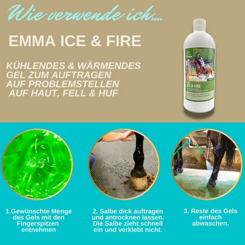EMMA Kühlgel & Wärmegel Pferd 500 ml – Arnika Gel hochkonzentriert mit Menthol – Pferdebalsam für Sehnen, Bänder, Gelenke & Muskeln – kühlend & wärmend bei Verspannungen