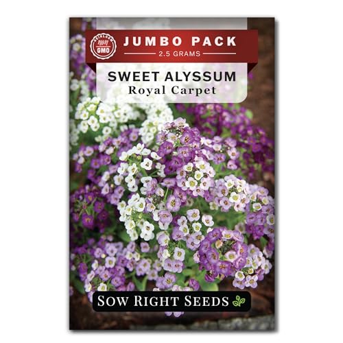 Sow Right Seeds - Bulk Alyssum Seeds for Planting - 2.5 Grams, 6200 Seeds - Non-GMO Heirloom Jumbo...