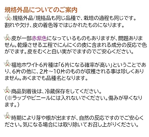 沢田ファーム 青森県田子産にんにく 1kg 規格外品