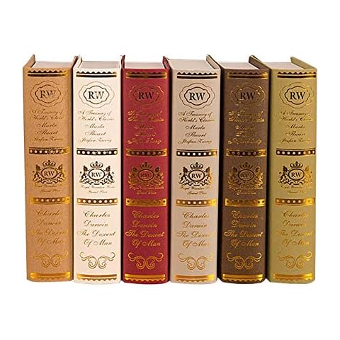RecoverLOVE Simulation Prop Book Photography Prop Ancient Books Faux Leather Book Boxes Fake Book Old Bookcase Props Nostalgic Ornaments for Study Room, Cafe, Photography Props (Random Color) Cover