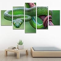 SIGNWIN 5 Panel Canvas Wall Art Modern Art Chic Expressive Frog Multicolor Photography Reptiles Snakes for Home Decorations Ready to Hang - 60