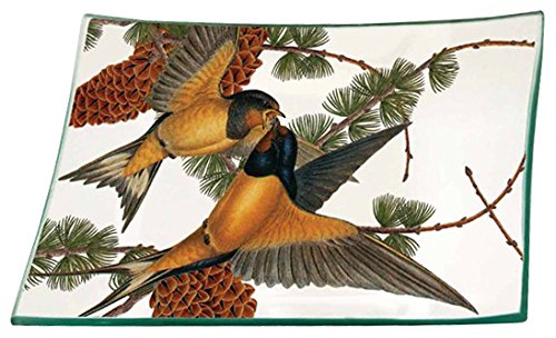 Boston International Caskata Studios Rectangle Glass Plate CAS17535