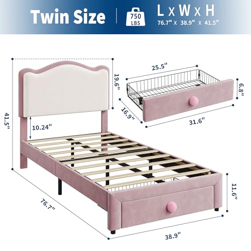 GarveeHome Upholstered Twin Bed Frame with Storage Drawer & Scallop Headboard, Princess Twin Size Platform Bed Frames for Kids Girls, Wooden Slats Support, No Box Spring Needed, Pink/White
