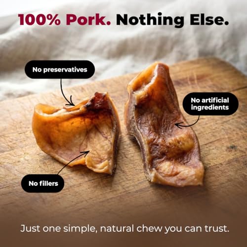 Image of Best Pet Supplies GigaBite Half-Cut Pig Ears for Dogs, 50 Pack - All-Natural Slow-Roasted Chews that Clean Teeth and Satisfy Aggressive Chewers