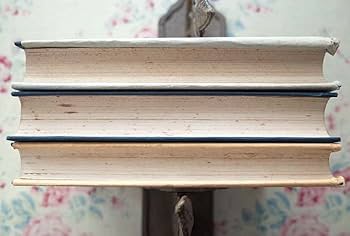 Amazon.co.jp: 92622/佛蘭西料理全書 上中下 3冊揃 仏蘭西料理