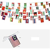 Kind Girl Asian 48 Countries String Flags, 8.2 x 5.5 inches, Polyester, Durable, Resistant, Decorative Banner for Olympics, International Festival, Garden