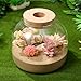 iplusmile Glass Plant Terrarium Jar, Tabletop Succulent Bubble Planter with Cork Lid, Open Mouth Round Fish Bowl Vase Sealed Glass Bottles Vial for Home Decor
