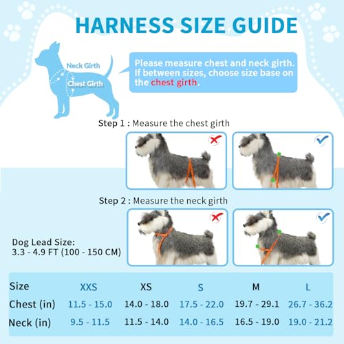 Lukovee No Pull Dog Harness and Leash Set, Soft Padded Small Dog Harness, Neck & Chest Adjustable Reflective Vest Puppy Harness with 4ft Lightweight Anti-Twist Dog Leash for Small Dogs (XXS, Blue) - Image 5