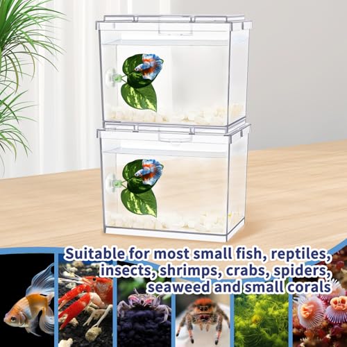 Image of MoonOrange Mini Betta Fish Tank, Small Fish Bowl for Temporary Space, 0.2 Gallon Stackable Cube Tank with Betta Leaf and Gravels for Small Fish, Insect, Shrimp, Crab, Spider.(Pack-2)