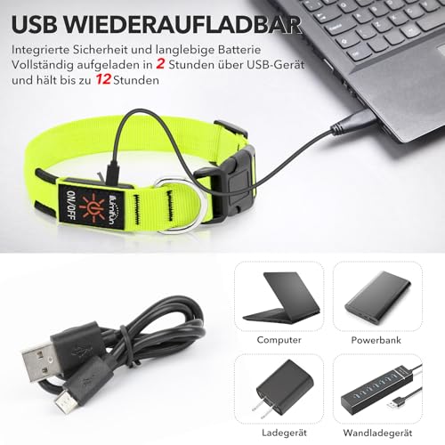 Illumifun Leuchthalsband Hund, USB LED Hundehalsband, Wiederaufladbar Hundehalsband Leuchtend für Hunde Einstellbare Größe, 3 Beleuchtungsmodi für Mittlere Hunde (Grün, M)