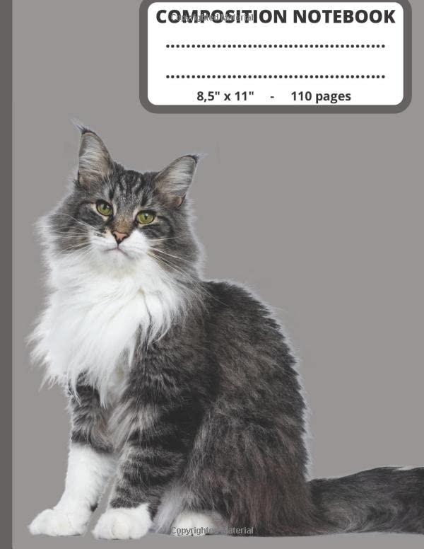 Composition Notebook 8,5 x 11 - 110 pages: Cute Cat School Notebook - Wide Ruled Paper - Composition Notebook College Ruled